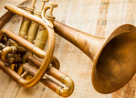 Not Just Brass Tubing: Factors that Shape Instrument Tone and Feel