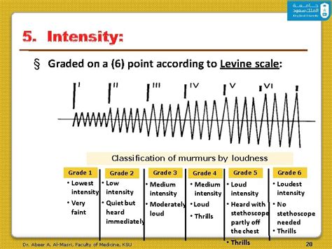 Cardiovascular Physiology Heart Sounds Murmurs Dr Abeer A