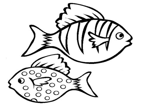 Free Cute Fish Outline, Download Free Cute Fish Outline png images, Free ClipArts on Clipart Library