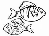 Free Printable Fish Coloring Pages For Kids sketch template