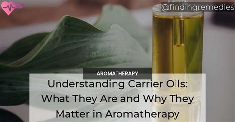 Understanding Carrier Oils: What They Are and Why They Matter in Aromatherapy