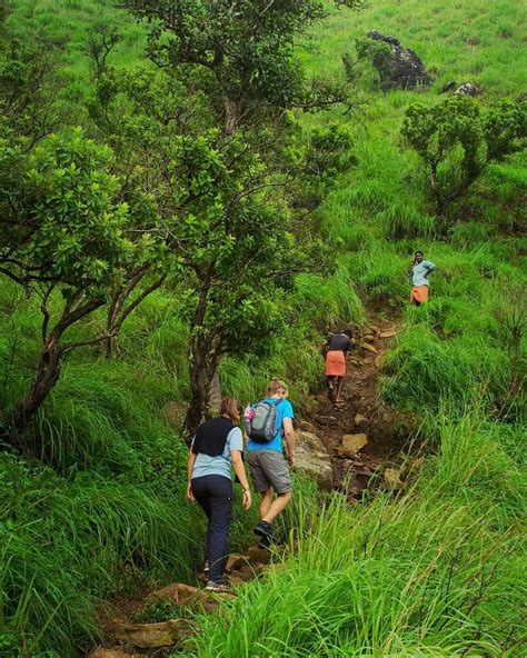 Chembra Peak Trekking