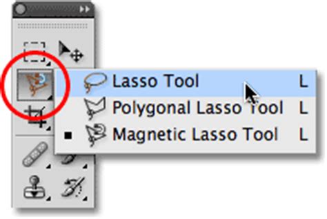 The Magnetic Lasso Tool - Photoshop Selections