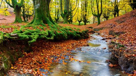 Siete parques naturales en los que disfrutar del medio ambiente | HAZTE ECO