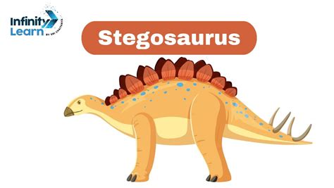 Stegosaurus: Diet, Habitat and Interesting Facts