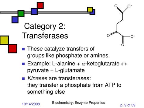 PPT - Enzyme Properties and Kinetics PowerPoint Presentation, free download - ID:1477206