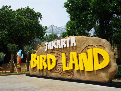 Info Harga Tiket Masuk Jakarta Bird Land 2024 - Ancol Blog