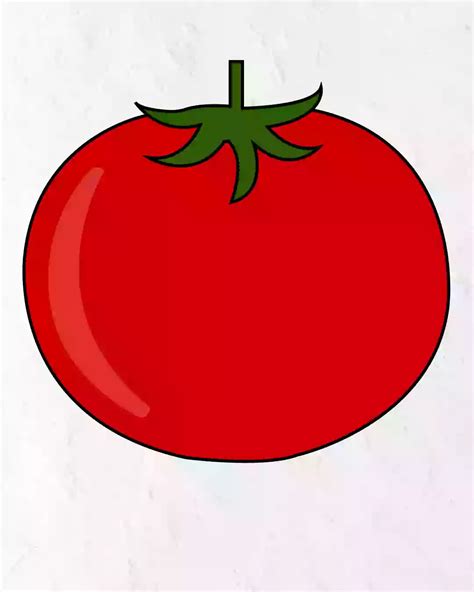 How to Draw Tomato in Simple and easy steps guide - Storiespub