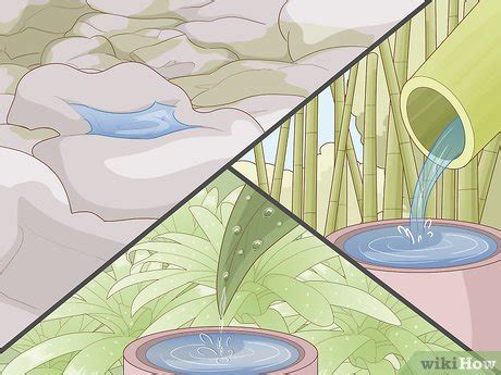 5 Easy Ways to Survive in the Jungle - wikiHow