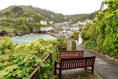 The Best Dog Walks in Polperro for You to Explore