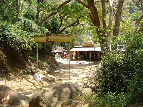 Tamilnadu Tourism: Shenbaga Devi Temple, Courtallam, Thirunelveli