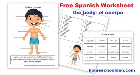 body shapes and actions worksheet - creates body shapes and actions grade 2 pe asynchronous ...