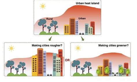 Vegetation, Moisture Control Urban Heat Islan | EurekAlert!