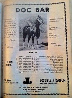 98 Best Doc Bar ideas | quarter horse, american quarter horse, aqha horses