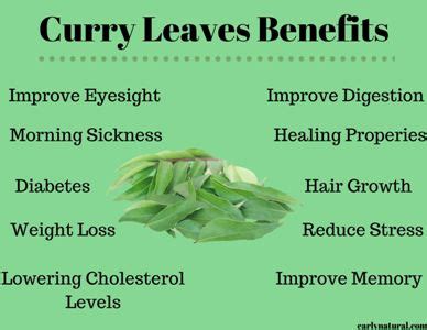 Curry Leaves Benefits For Our Health - Early Natural