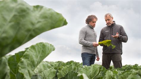 Resources | Syngenta Vegetable Seeds Global