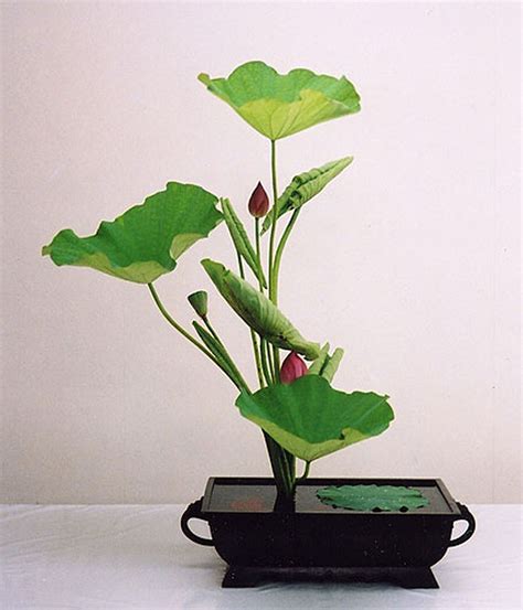 30 Pictures of Japanese Art Of Flower Arrangement, Ikebana | Ikebana ...