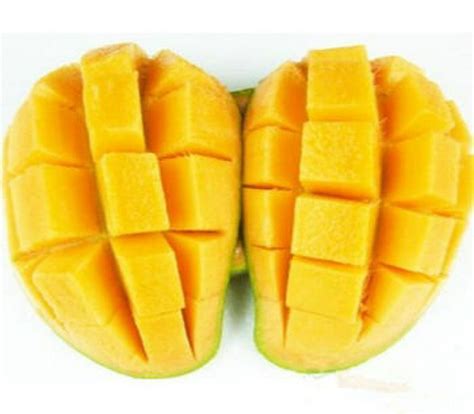 Mango Tree Seeds With Bonus Rose Seeds - BestSeedsOnline.com - Free ...