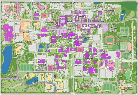 Usf Campus Map