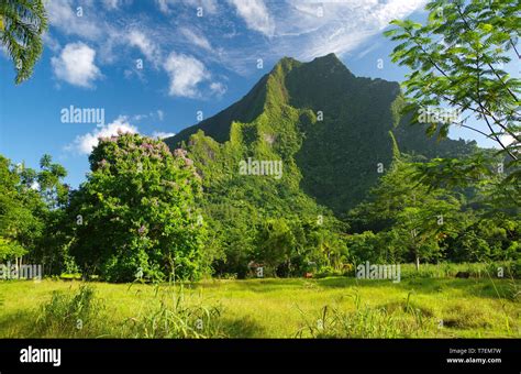 Mount Rotui Moorea Tahiti Stock Photo - Alamy