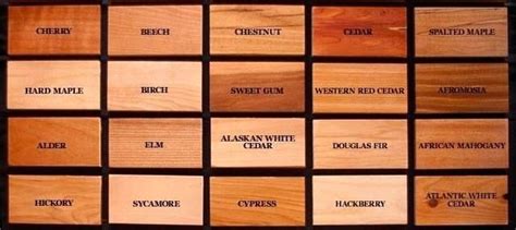 types of wood flooring attractive wood floor species wood floor species types of wood flooring ...