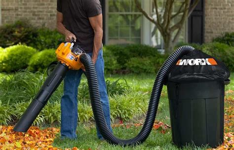 10 Best Leaf Vacuums Of 2022 | Garden Wisper