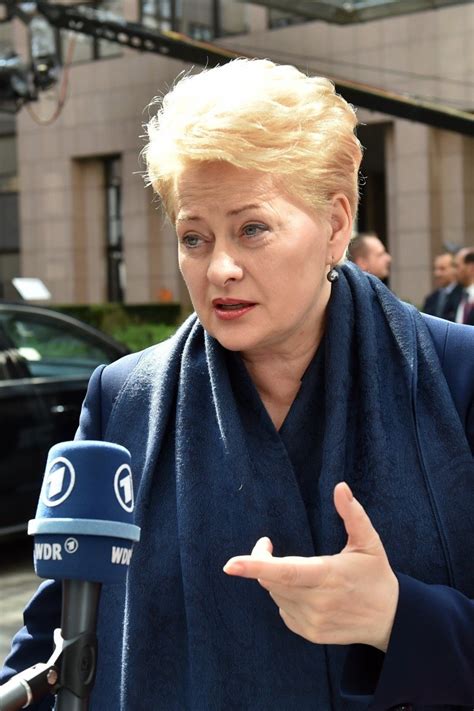 President Grybauskaitė: Most important EU issues will be discussed in Aachen - EN.DELFI