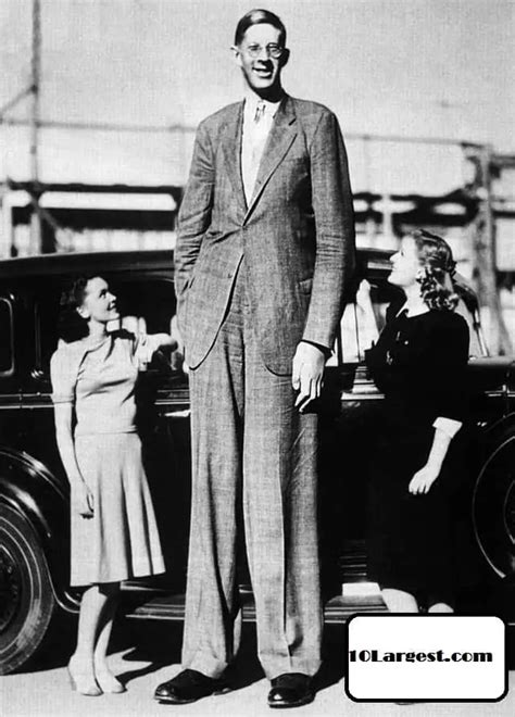 World's Tallest Man Ever Recorded