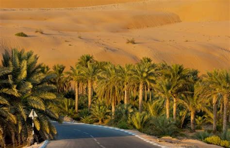 Liwa Desert Safari - Full day Tour - Explore the empty quarter