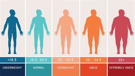 High BMI, More Fat Means Higher Heart Failure Risk | Everyday Health