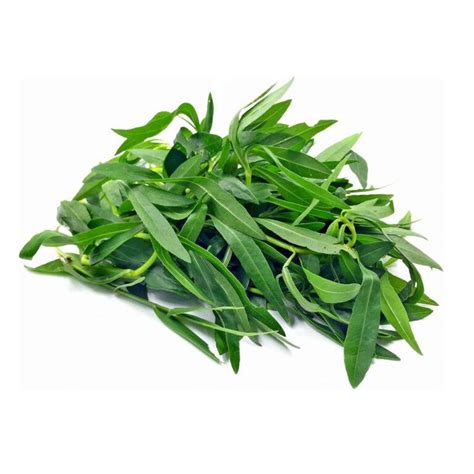 Mukunuwenna Leaves(Ponannagani) – Spice Centre