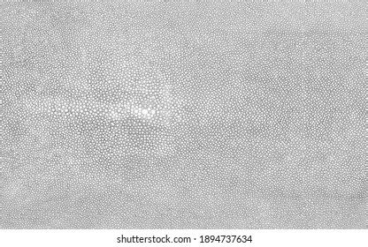 Real Shagreen Stingray Skin White Seamless Stock Photo 1894737634 | Shutterstock