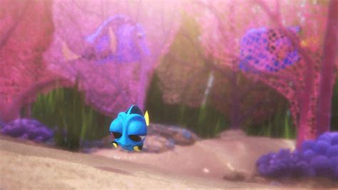 Disney/Pixar'S Finding Dory GIFs - Find & Share on GIPHY