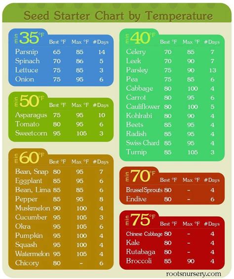 Vegetable Fertilizer Chart - Plants BS