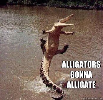 Alligators gonna alligate memes | quickmeme