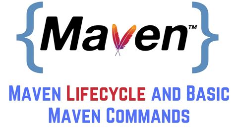 Maven Lifecycle and Basic Maven Commands - YouTube