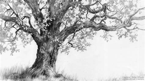 Oak Tree Drawing Amazing - Drawing Skill