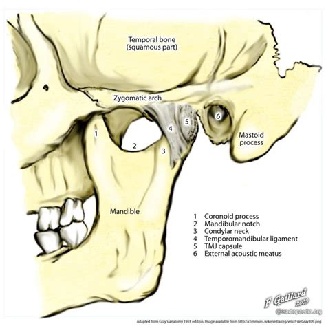 Pin on Medical Illustrations