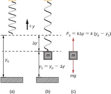 How To Find Amplitude Of A Spring Mass System - lineagetips