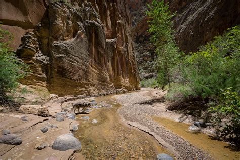 Escalante River Walk - Adam Elliott Photography