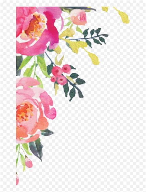 Wfcb50 Hd Free Wilting Flower Clipart Border Pack 4473 - Corner ...