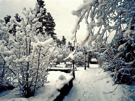 Winter in the Yukon at Hidden Valley Bed & Breakfast