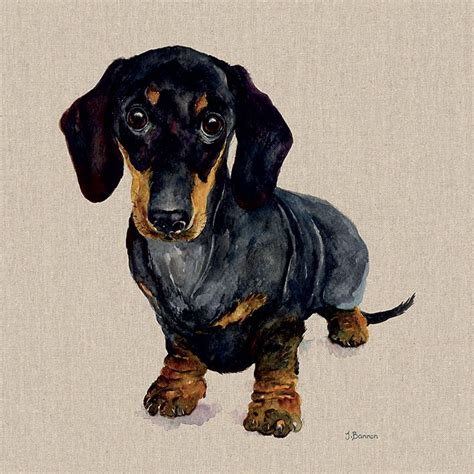 Jane Bannon (Danny) sausage dog country animal watercolour painting. Head to artgroup.com to ...