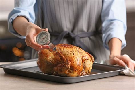 Meat Temperature Is a Safety Issue You Shouldn't Ignore - University ...