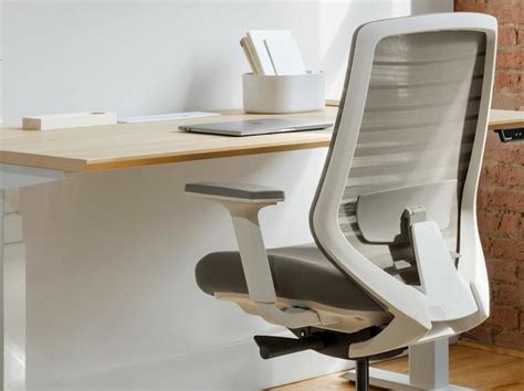 Branch Ergonomic Chair for offices offers 7 points of adjustment for comfort & ergonomics ...