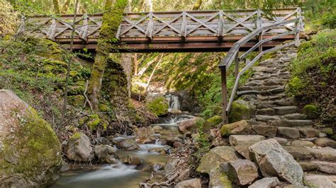 Uvas Canyon County Park - Contour Trail - East Bay Wild!