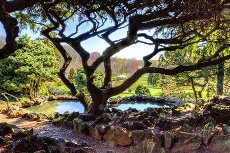 gazebo through the trees at Deep Cut Gardens Photograph by Geraldine ...