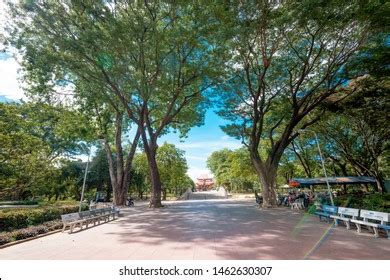 Lenin Park Thong Nhat Park Trees Stock Photo 1201517800 | Shutterstock