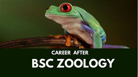 Job After Bsc Zoology Honours – CollegeLearners.com