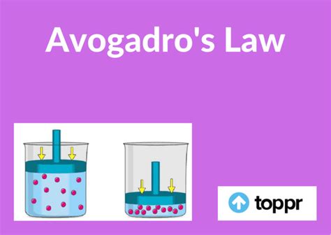 Avogadro's Law: Definition, Formula, Derivation, Examples